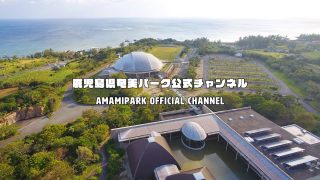 【シマ唄動画紹介】奄美パーク春祭り「サンガツサンチ」