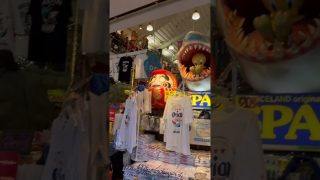 【沖縄居酒屋動画紹介】歩くだけで楽しいよね#沖縄 #沖縄旅行 #国際通り#民謡居酒屋