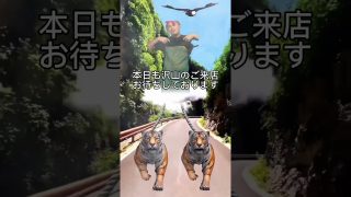 【沖縄居酒屋動画紹介】ご来店お待ちしておりすぐ編#shorts #居酒屋 #沖縄 #那覇