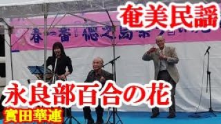【シマ唄動画紹介】永良部百合ぬ花　実田華連　実田富良　奄美民謡　奄美シマ唄　amami【字幕】