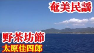 【シマ唄動画紹介】野茶坊節　太原佳四郎　奄美民謡　奄美シマ唄　amami【字幕】