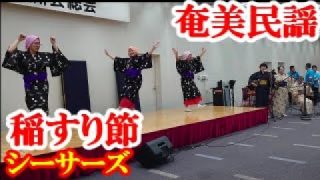 【シマ唄動画紹介】作たぬ米～稲すり節　シーサーズ ＆ サムイーズ　奄美民謡　永良部シマ唄　amami【字幕】