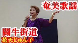 【シマ唄動画紹介】闘牛街道　花天じゅん子　奄美歌謡　amami【字幕】