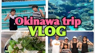 【沖縄居酒屋動画紹介】VLOG/Part4/沖縄/旅行/美ら海水族館/UFOキャッチャー/居酒屋/恩納村/ちぬまん