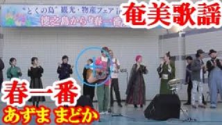 【シマ唄動画紹介】春一番　あずま まどか　奄美歌謡　amami【字幕】代々木公園 in徳之島フェア