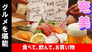 【奄美居酒屋動画紹介】絶対行くべき旅行⑤【奄美大島】２日目夜の繁華街へ／居酒屋むちゃかな／１２３MART／屋仁川通り／やんご通り