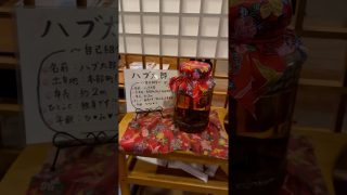 【沖縄居酒屋動画紹介】ハブ太郎がいる沖縄居酒屋で気づいたら泡盛一本空いてた #恩納村グルメ #沖縄