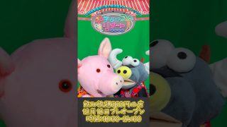 【沖縄居酒屋動画紹介】EP4『スタッフ面接』#プレオープン #沖縄グルメ #プレオープン #学ぶリゾート