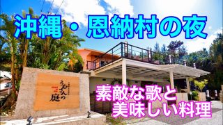 【沖縄居酒屋動画紹介】沖縄・恩納村の夜『沖縄炭火料理店 うむさんの庭』で美味しい料理と三味線ライブを見て来ました♪♪#沖縄 #沖縄旅行 #沖縄県 #沖縄観光 #沖縄料理 #ライブ #三味線 #居酒屋 #観光 #恩納村#食事