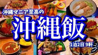 【沖縄居酒屋動画紹介】【至高の弾丸沖縄旅】年5回沖縄に訪れるマニアが滞在24時間で那覇の「本当に美味しいお店」を9店舗巡る！全国の呑兵衛に伝えたい究極のモデルコース！(那覇/国際通り/美栄橋/県庁前/牧志)