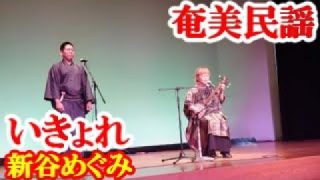 【シマ唄動画紹介】いきょれ　新谷めぐみ　奄美民謡　奄美シマ唄　amami【字幕】