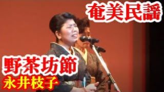 【シマ唄動画紹介】野茶坊節　永井枝子　奄美民謡　奄美シマ唄　amami【字幕】2016,8,28