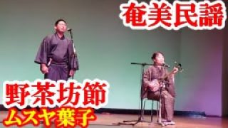 【シマ唄動画紹介】野茶坊節　ムスヤ葉子　奄美民謡　奄美シマ唄　amami【字幕】