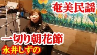 【シマ唄動画紹介】一切り朝花節　永井しずの　奄美民謡　奄美シマ唄　amami【字幕】