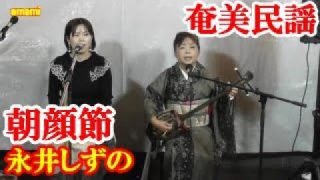 【シマ唄動画紹介】朝顔節(祝い唄)　永井しずの　奄美民謡　奄美シマ唄　amami【字幕】