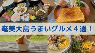 【奄美居酒屋動画紹介】【奄美大島vlog】ハズレなし！朝ごはんから夕飯まで、奄美大島の美味しいグルメ４選！