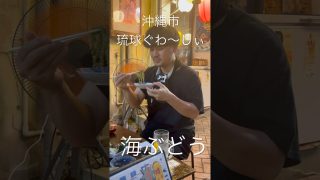 【沖縄居酒屋動画紹介】【アザラシ君の居酒屋天国 vol.10】沖縄市　琉球ぐわぁ〜しい　海ぶどう#lawind #沖縄 #okinawa #居酒屋 #グルメ好き