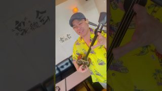 【沖縄居酒屋動画紹介】大阪 三線ライブ居酒屋