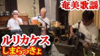 【シマ唄動画紹介】ルリカケス　しまらっきょ　奄美歌謡　amami【字幕】