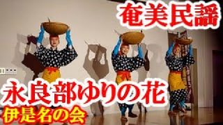 【シマ唄動画紹介】永良部百合の花　伊是名の会(踊り)　奄美民謡　amami【字幕】