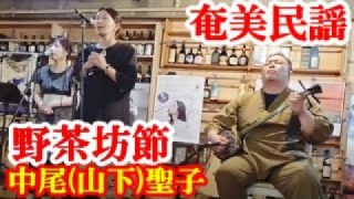 【シマ唄動画紹介】野茶坊節　中尾(山下)聖子　奄美民謡　奄美シマ唄　amami【字幕】