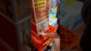 【沖縄居酒屋動画紹介】【池袋の若者が集まる人気店？】沖縄居酒屋