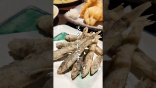 【沖縄居酒屋動画紹介】琉神沖縄の居酒屋。那覇、おもろまち#居酒屋#沖縄旅行#那覇#那覇ランチ