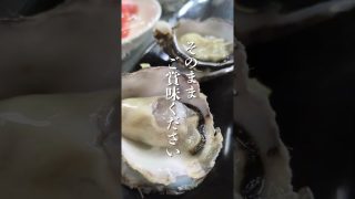 【沖縄居酒屋動画紹介】琉神沖縄の居酒屋。那覇、おもろまち#居酒屋#沖縄旅行#那覇#那覇ランチ