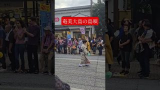 【シマ唄動画紹介】島唄#奄美大島 #大島紬 #成田伝統芸能まつり