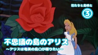【シマ唄動画紹介】【 #奄美 】不思議の島のアリス～アリスは奄美の島口が喋りたい～③花たちと島唄と【アフレコ】 #奄美大島 #方言 #島口