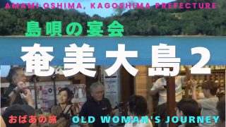 【シマ唄動画紹介】【奄美大島】2　島唄の宴会　太鼓あり踊りあり　Amami Oshima　2　Island song party with drums and dancing