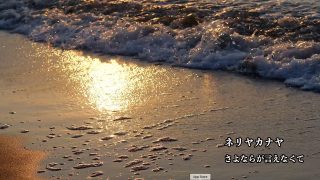【シマ唄動画紹介】【ネリヤカナヤ　さよならが言えなくて】#シマ唄 #ネリヤカナヤ #沖縄 #奄美 #島唄