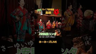 【沖縄居酒屋動画紹介】沖縄の夜はライブ居酒屋【島唄】へ♪#ネーネーズ #国際通り #沖縄 #沖縄旅行