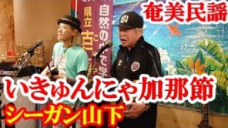 【シマ唄動画紹介】行きゅんにゃ加那　シーガン山下　タナカアツシ　奄美民謡　amami【字幕】
