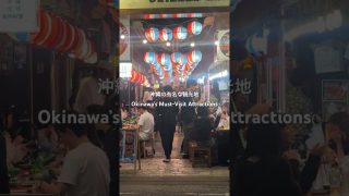 【沖縄居酒屋動画紹介】沖縄観光『沖縄で有名な観光地』#okinawatravel #okinawa #japan #japantravel #居酒屋 #観光 #沖縄観光         #沖縄旅行 #観光名所 #乾杯