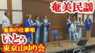 【シマ唄動画紹介】いとぅ　東京山ゆり会　奄美民謡　奄美シマ唄　amami【字幕】