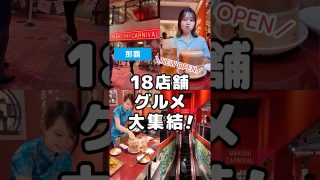 【沖縄居酒屋動画紹介】国際通り裏に18店舗グルメ大集結！マキシカーニバルNEW OPEN！