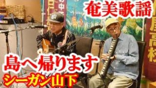 【シマ唄動画紹介】島に帰ります　シーガン山下　奄美歌謡　ブルース　amami【字幕】