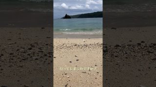 【シマ唄動画紹介】行きゅんにゃ加那　奄美島唄 #奄美大島 #島唄