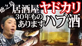 【奄美居酒屋動画紹介】居酒屋ヤドカリ / 30年ものハブ酒あります