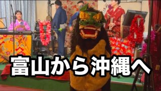 【沖縄居酒屋動画紹介】５歳のシーシーが沖縄に島唄居酒屋ライブで大暴れ！