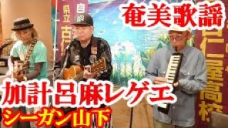 【シマ唄動画紹介】加計呂麻レゲエ　シーガン山下　奄美歌謡　ブルース　amami【字幕】