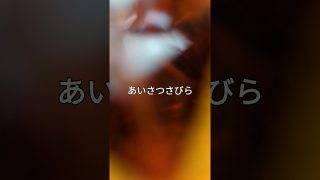 【シマ唄動画紹介】@沖繩民謡島唄「あいさつさびら」