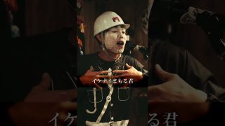 【沖縄居酒屋動画紹介】宮古島を最高の夜にする居酒屋さん✨️ #沖縄 #沖縄グルメ #宮古島