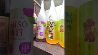 【沖縄居酒屋動画紹介】琉神沖縄の居酒屋。那覇、おもろまち#居酒屋#沖縄旅行#那覇#那覇ランチ
