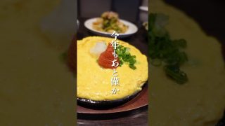 【沖縄居酒屋動画紹介】琉神沖縄の居酒屋。那覇、おもろまち#居酒屋#沖縄旅行#那覇#那覇ランチ