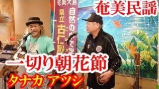 【シマ唄動画紹介】一切り朝花節　タナカアツシ　しまらっきょう　奄美民謡　amami【字幕】