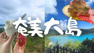 【奄美居酒屋動画紹介】【離島旅】✈️癒しの南国✨奄美大島🏝️【旅行vlog】