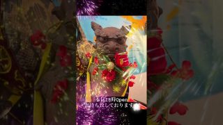 【沖縄居酒屋動画紹介】あけましておめでとう御座います🎍2026年も沢山の皆様にお会いできるのを楽しみにお待ち致しております♪1月２日から営業です🍻 #trending #人気になりたい #tiktok #shorts