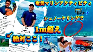 【奄美居酒屋動画紹介】奄美大島で釣り・シュノーケリングするならここ！家族、友達旅行、団体行けます！